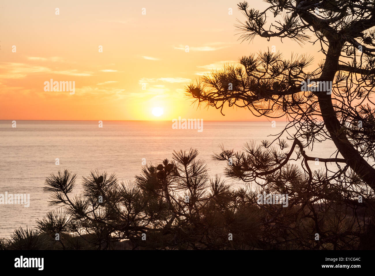 Tramonto a Torrey Pines State Park, La Jolla California Foto Stock