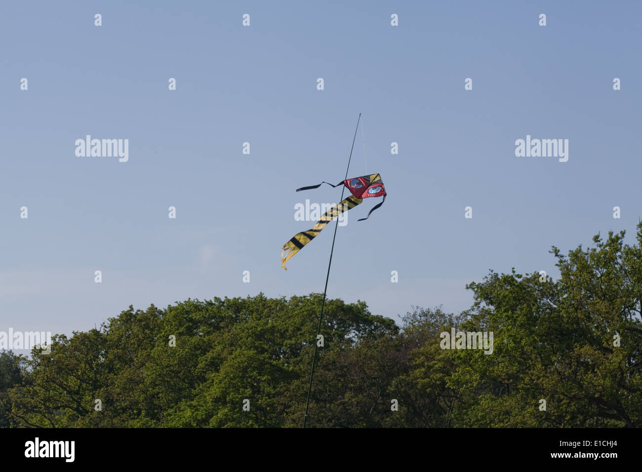 Bird spaventando Kite, con molto sottolineato gli occhi. Utilizzato per agire come un dispositivo a spaventare su un raccolto di pisello. Uso di segnalazione di pericolo i colori, gli occhi Foto Stock