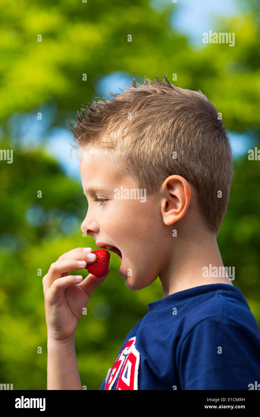 Giovane ragazzo caucasico mangiare fragola rossa all'aperto in una giornata di sole. Foto Stock