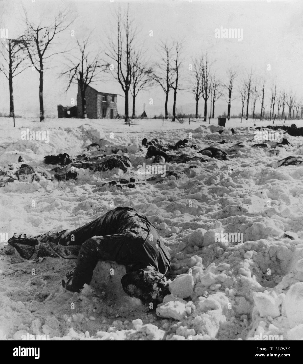 Corpi dei soldati statunitensi uccisi dai nazisti dopo la loro consegna vicino a Malmedy, Belgio. A Dic. 17, 1944 soldati sotto il Foto Stock