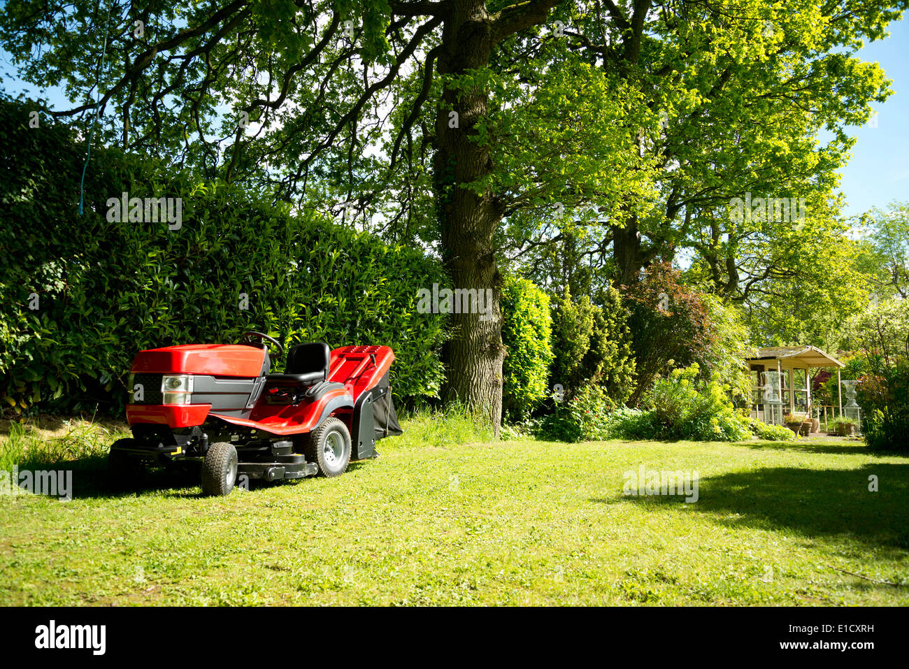 Rosso Trattore da giardino, o fate un giro su una falciatrice, in un giardino verdeggiante. Foto Stock