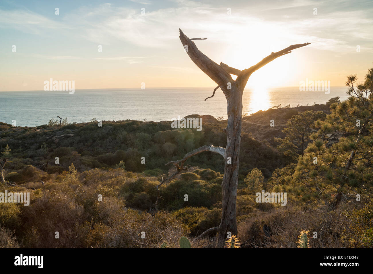 Scogliere e tramonto sull'Oceano Pacifico a Torrey Pines State Park, La Jolla California Foto Stock