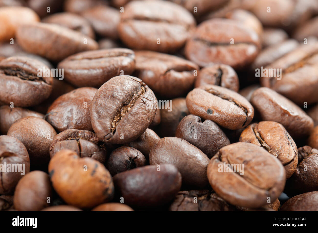 I chicchi di caffè closeup Foto Stock