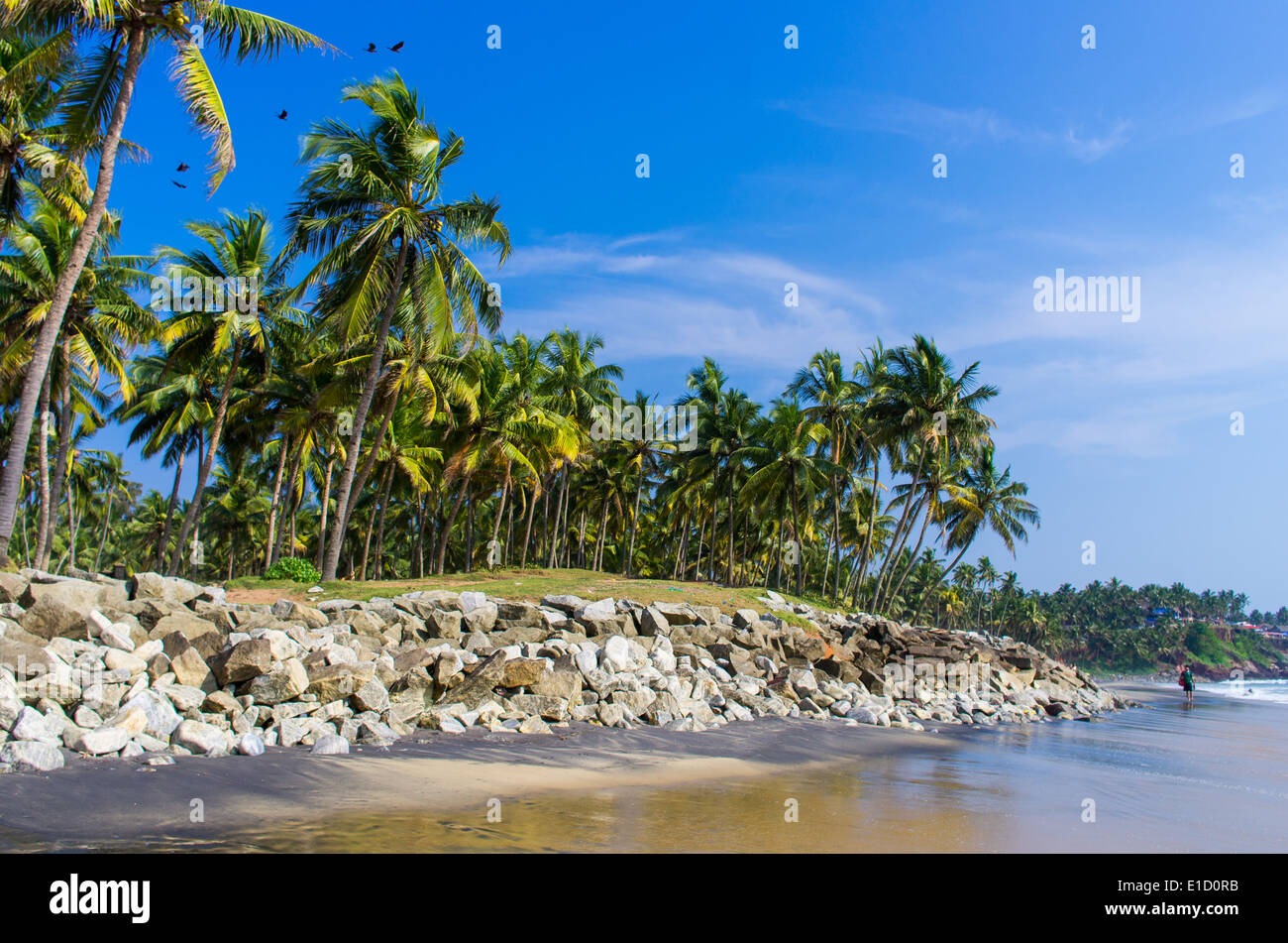 Incredibili spiagge indiano, spiaggia nera, Varkala. Il Kerala, India. Foto Stock