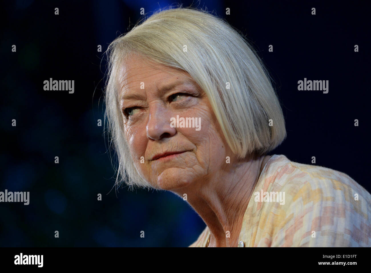 La Hay Festival 2014. Hay on Wye, Wales, Regno Unito. Il 31 maggio 2014. BBC correspondent, giornalista e storiografo KATE ADIE parlando il retaggio delle donne WW1 il penultimo giorno del 2014 Daily Telegraph Hay Festival della Letteratura, Wales UK Credit: keith morris/Alamy Live News Foto Stock