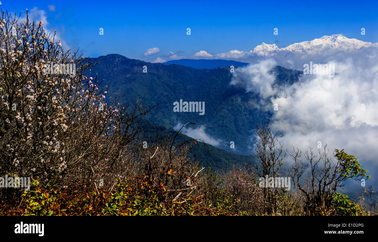 Monte Kangchendzonga gamma percorso di trekking attraverso le montagne himalayane verso Sandakphu Foto Stock
