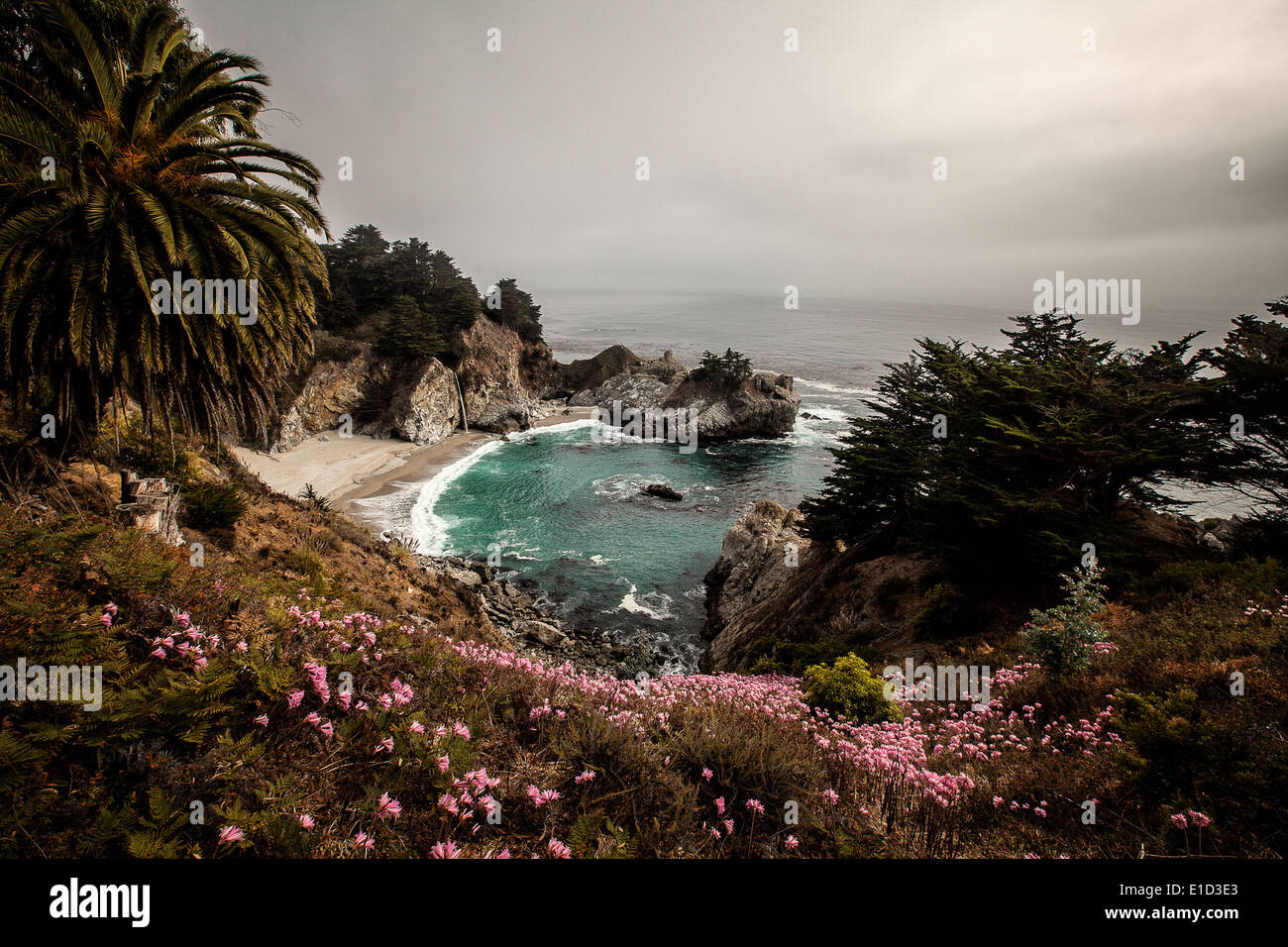 Julia Pfeiffer Burns State Park Foto Stock