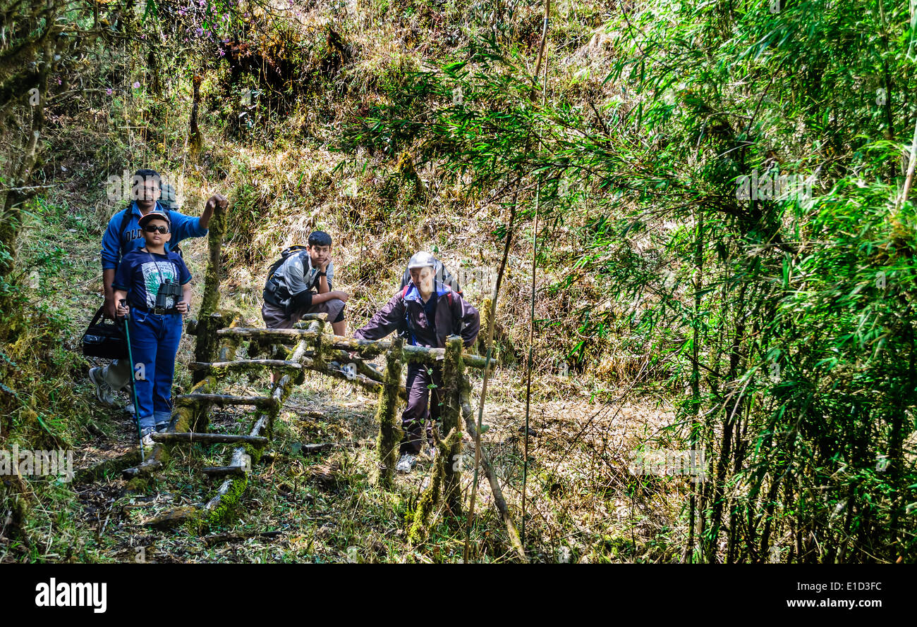 Il trekking sul percorso di trekking attraverso le montagne himalayane verso Sandakphu Foto Stock