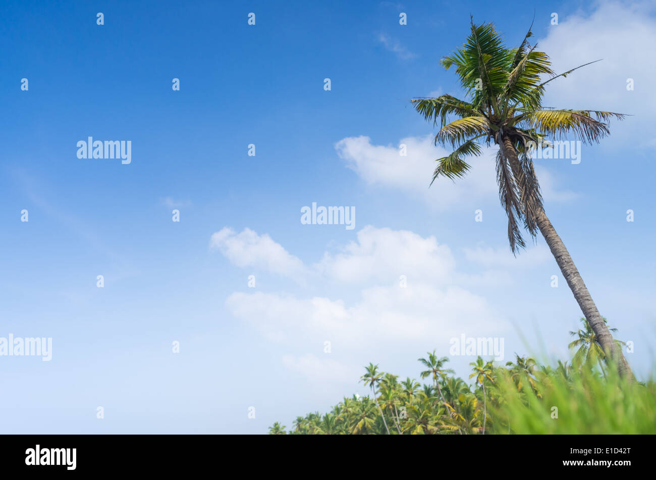 Incredibili spiagge indiano, spiaggia nera, Varkala. Il Kerala, India. Foto Stock