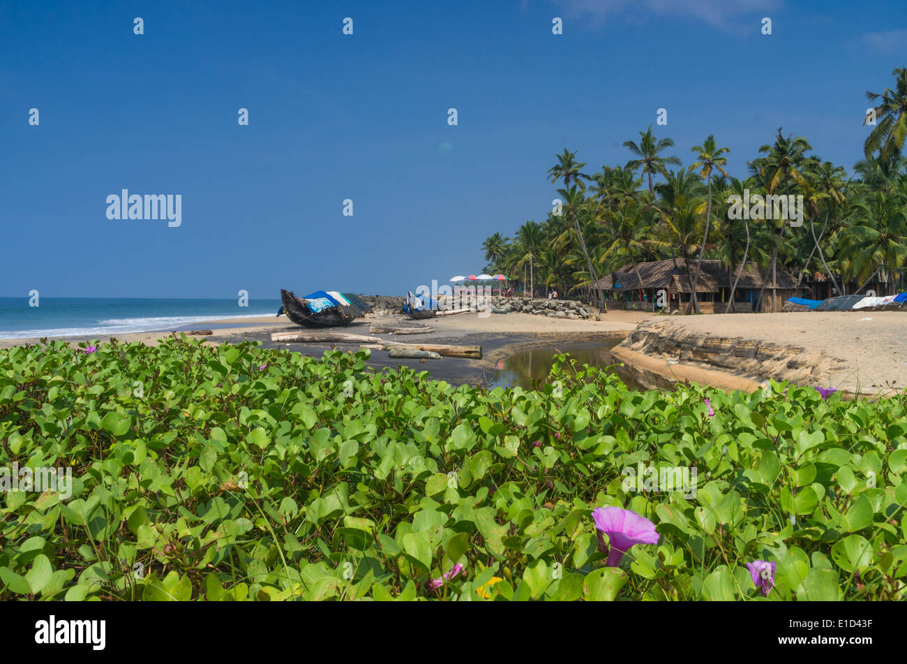 Incredibili spiagge indiano, spiaggia nera, Varkala. Il Kerala, India. Foto Stock