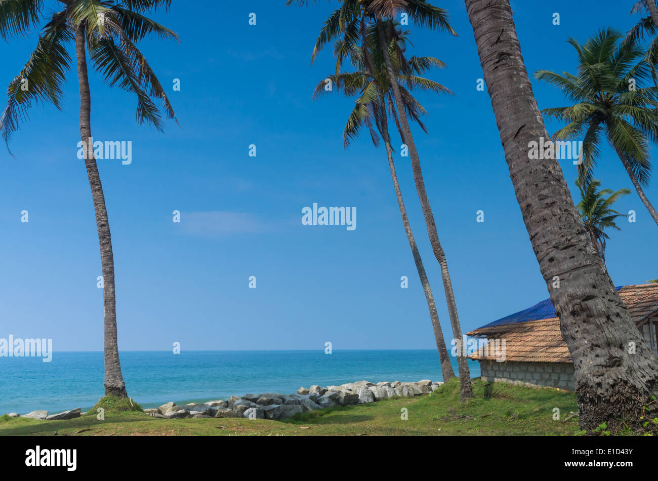Incredibili spiagge indiano, spiaggia nera, Varkala. Il Kerala, India. Foto Stock