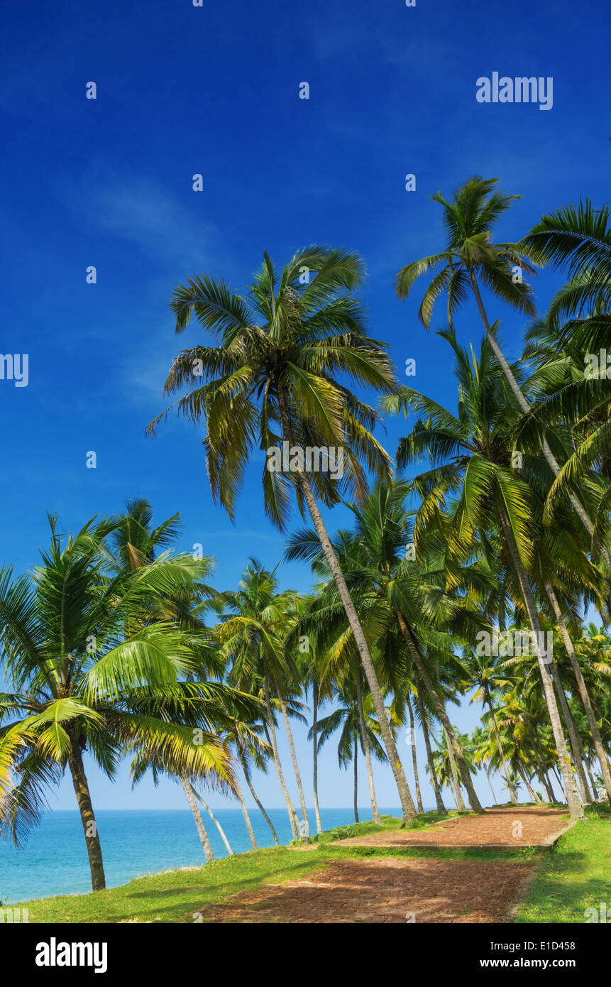 Incredibili spiagge indiano, Varkala. Il Kerala, India Foto Stock