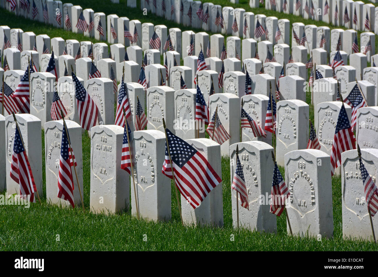 Bandierine americane sulle lapidi del Memorial Day a Cipro colline Cimitero Nazionale di Brooklyn, New York Foto Stock