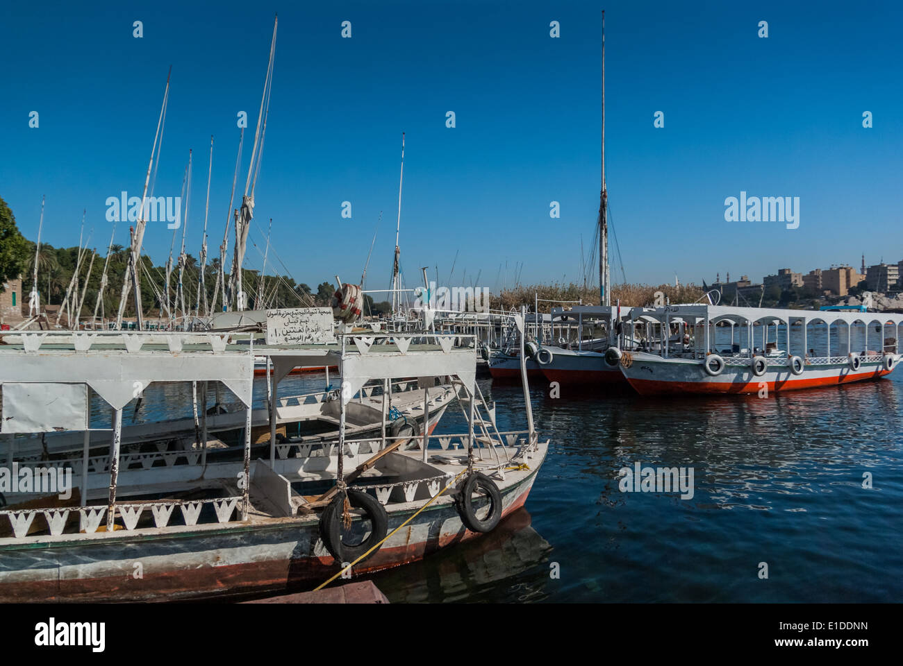 Le imbarcazioni turistiche nei pressi di angolo sud dell isola Elefantina, Aswan, Alto Egitto Foto Stock