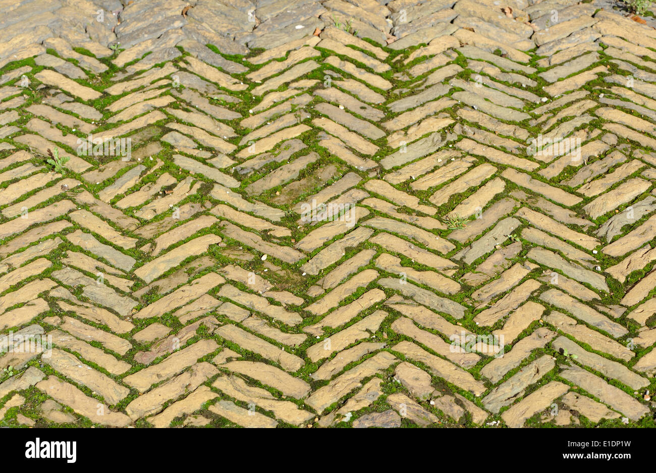 Mattoni di pavimentazione prevista in una lisca di pesce pattern. Norfolk, Regno Unito. Foto Stock