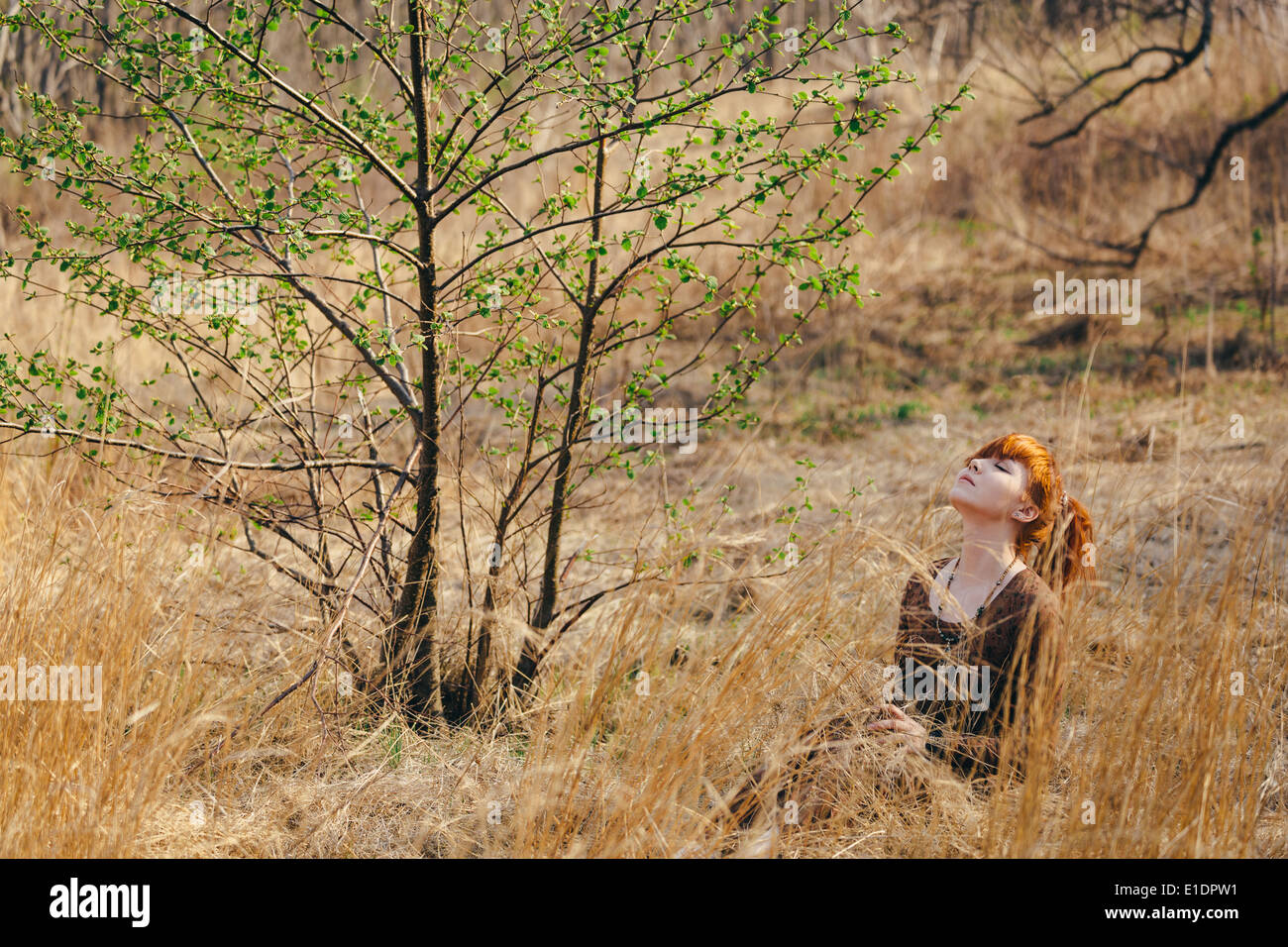 Giovane donna camminare in golden erba essiccata campo Foto Stock