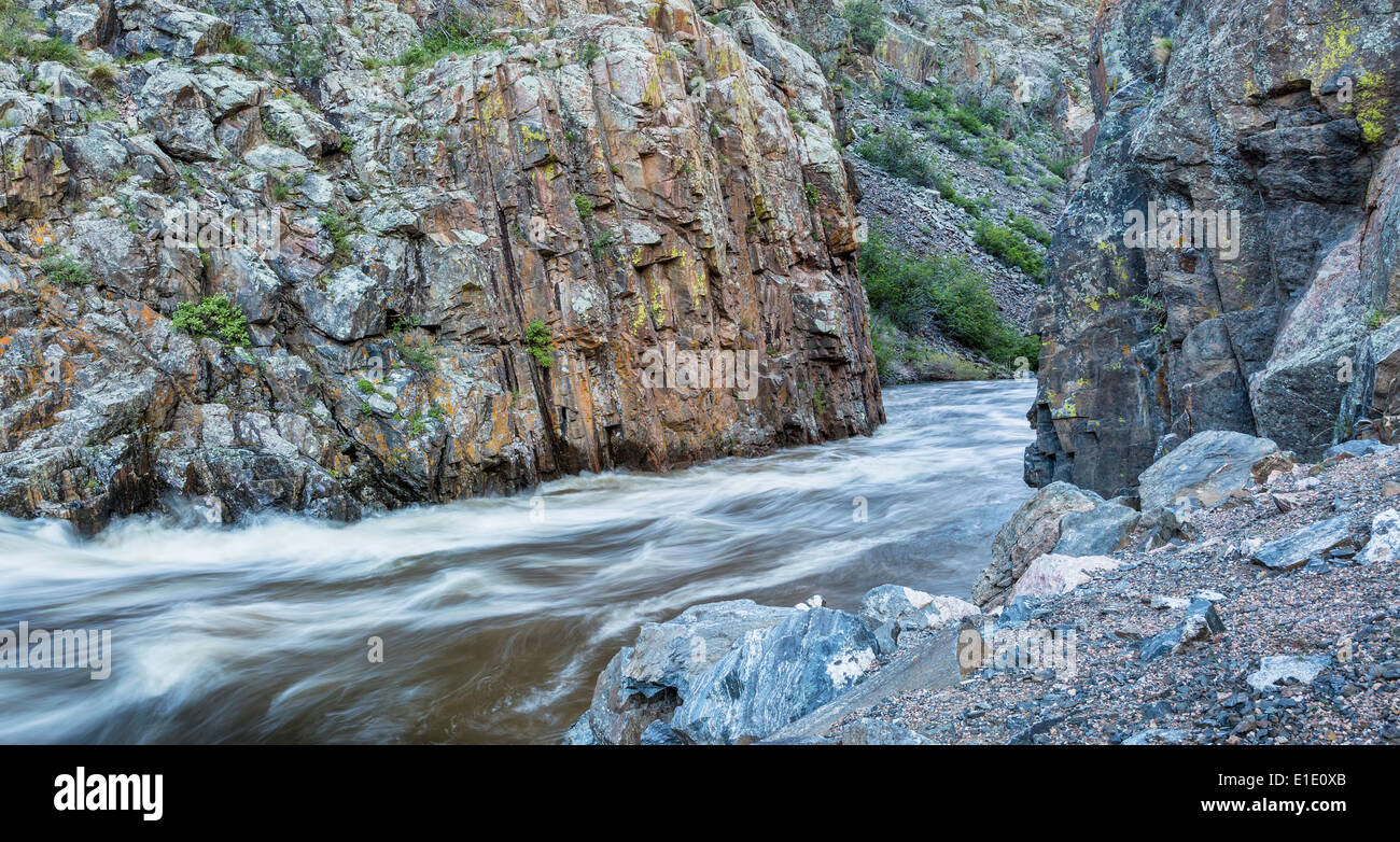 La Cache Poudre River a poco si restringe vicino a Fort Collins, Colorado - flusso di primavera Foto Stock