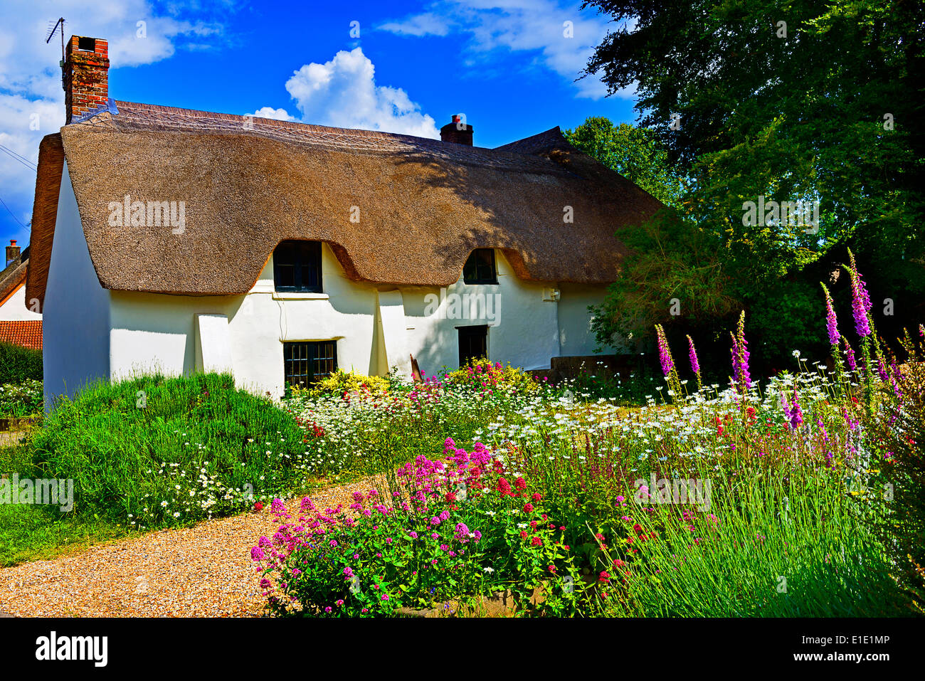 Cottage di campagna con fiori in primo piano Foto Stock