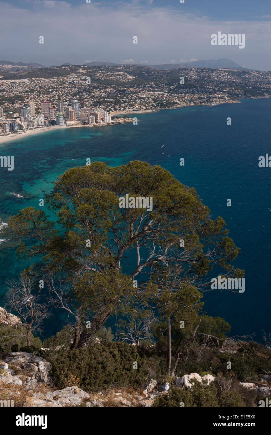 Spiaggia di Fossa e Costa Blanca Foto Stock