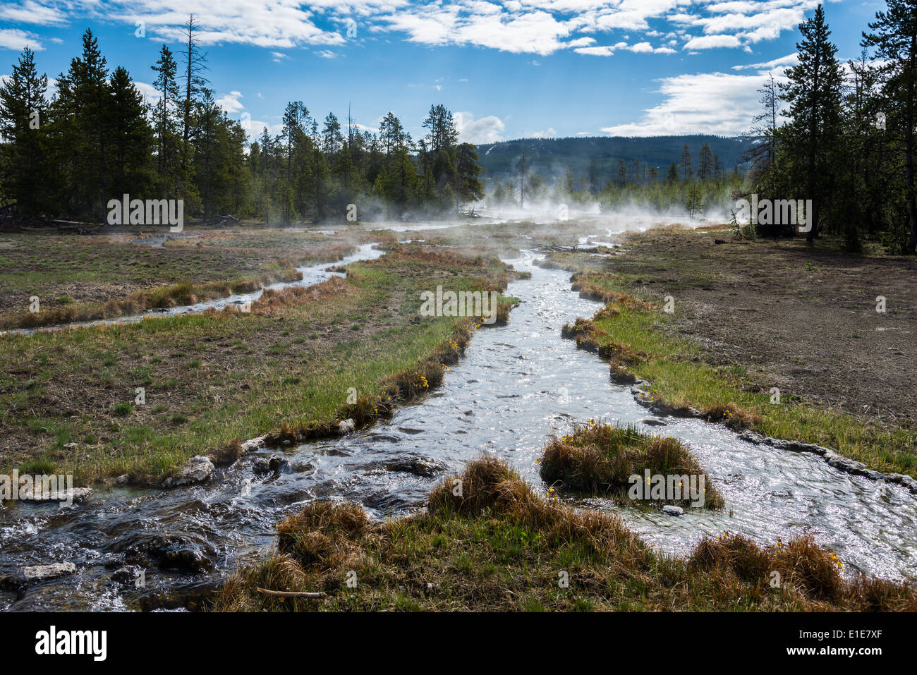 Flussi il flusso attraverso un prato aperto. Parco Nazionale di Yellowstone, Wyoming negli Stati Uniti. Foto Stock