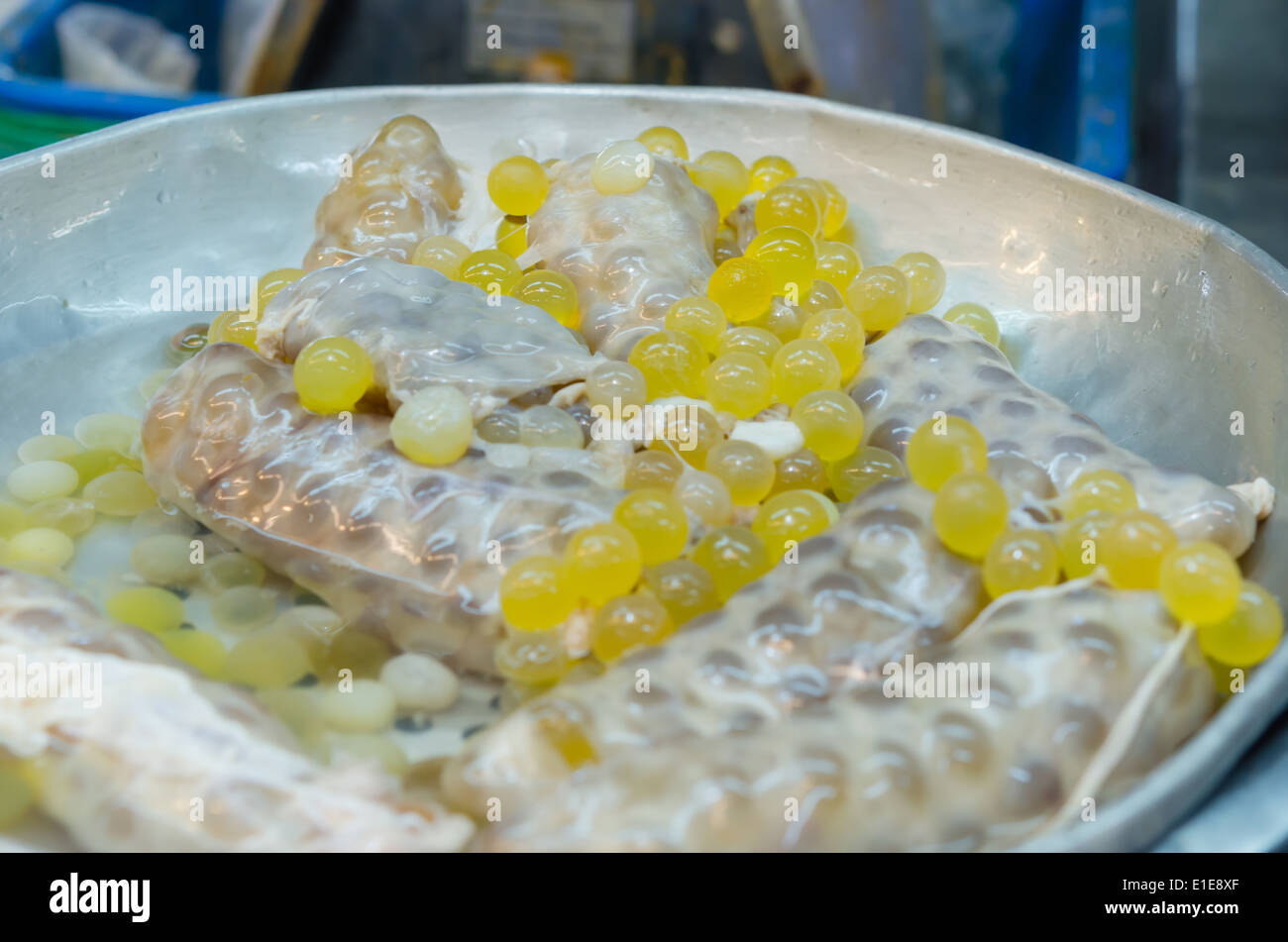 Giallo Spawn di pesce gatto gigante al mercato Foto Stock