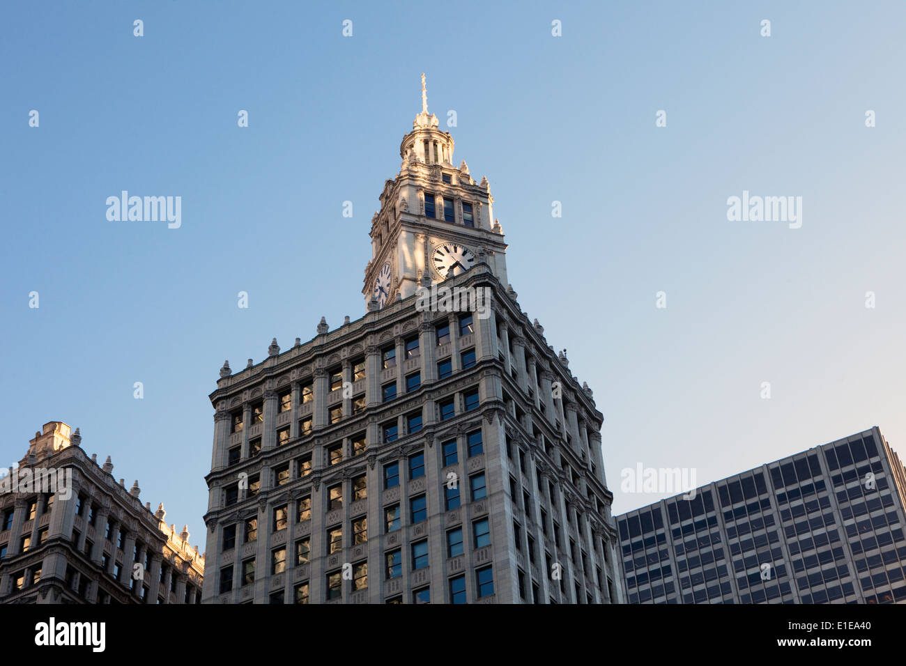 Una vista della Wrigley Building sul Magnificent Mile di Chicago, Illinois Foto Stock