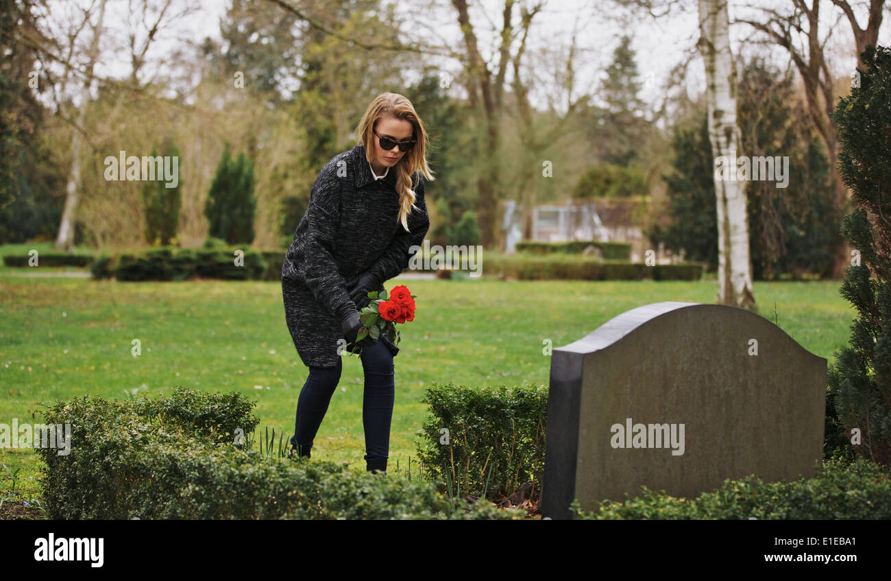 Giovane donna presso il cimitero pagando rispetta con fiori freschi. Immissione femmina roses sulla tomba di un defunto membro della famiglia. Foto Stock