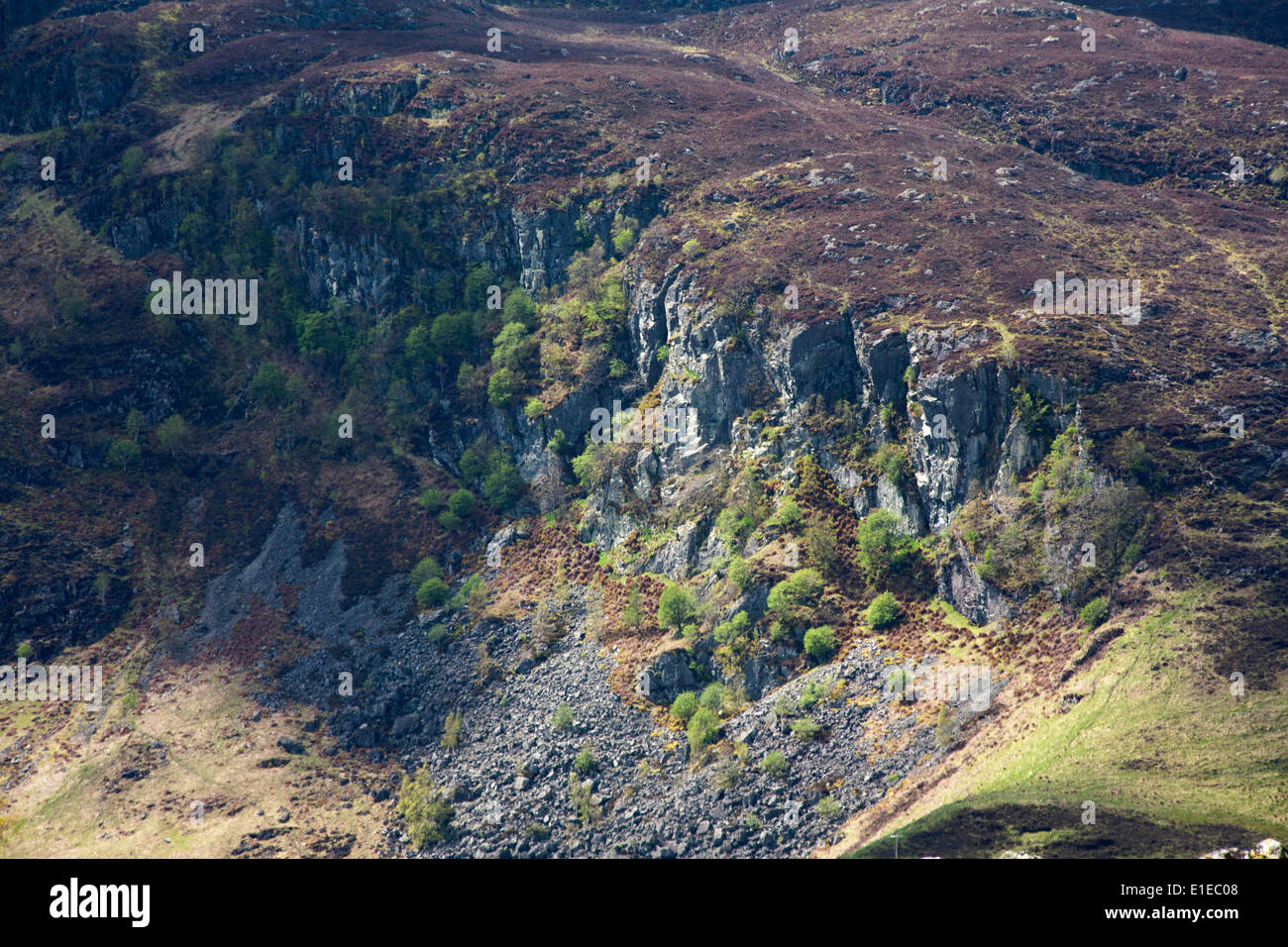 Scogliere boscoso sotto Wester Top & Balnacoul Castello dalle pendici del Chonzie ben al di sopra di Glen Lednock Crieff Perthshire Scozia Scotland Foto Stock