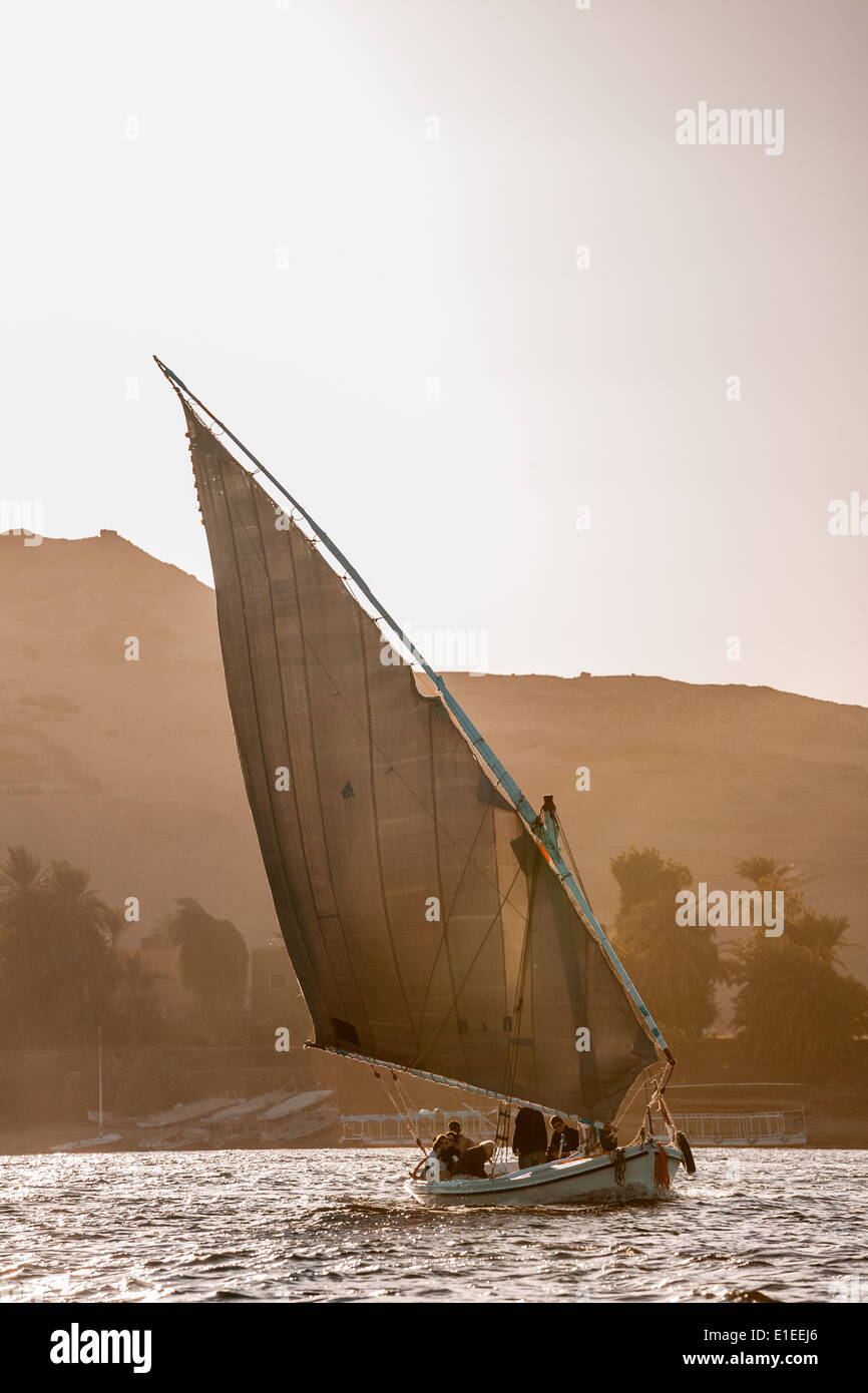 Faluka barca a vela vela sul fiume Nilo, Aswan, Egitto Foto Stock