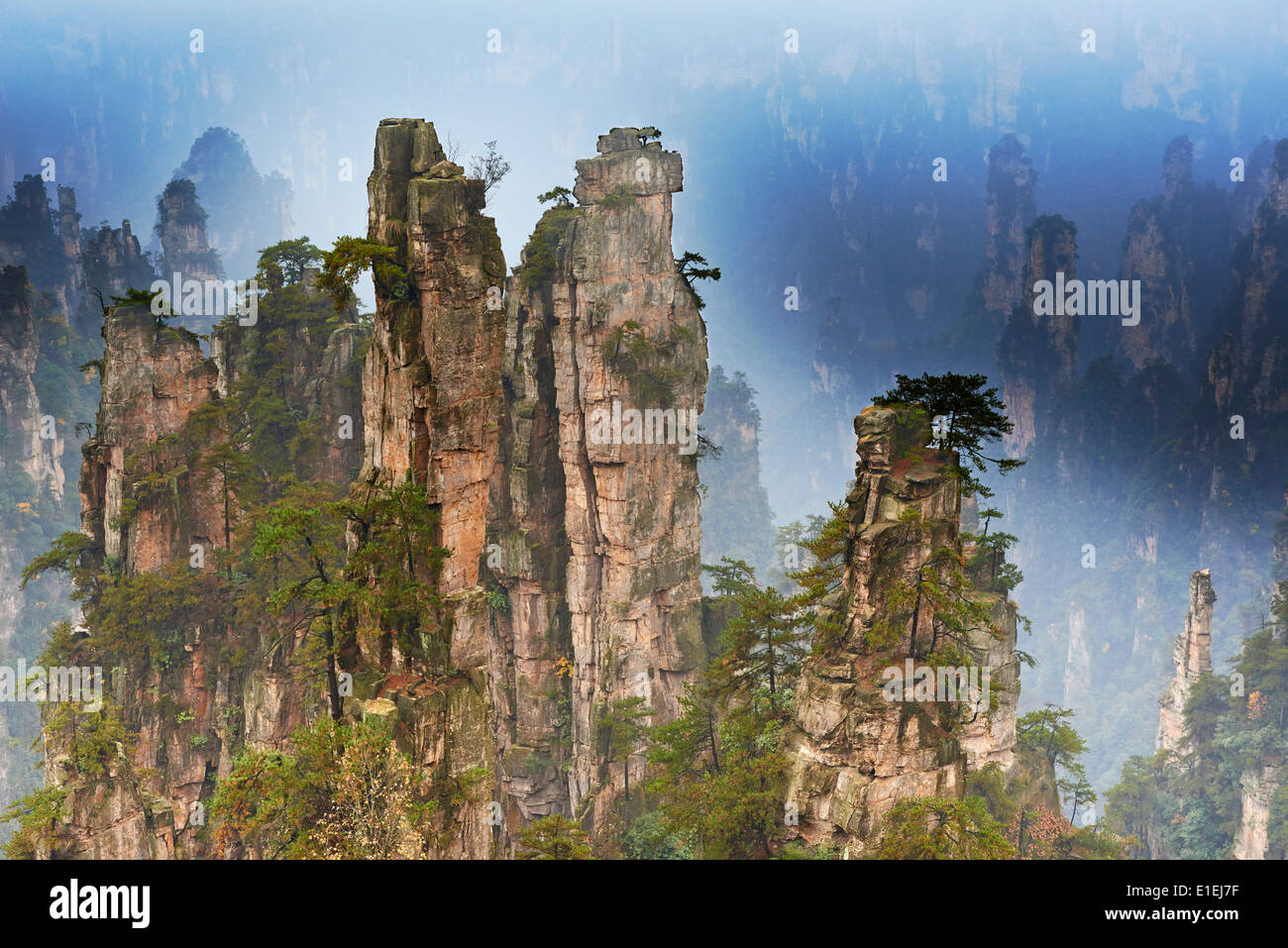 La Cina, nella provincia del Hunan, Zhangjiajie Wulingyuan, Scenic Area, Zhangjiajie National Forest Park, Patrimonio Mondiale dell Unesco Foto Stock