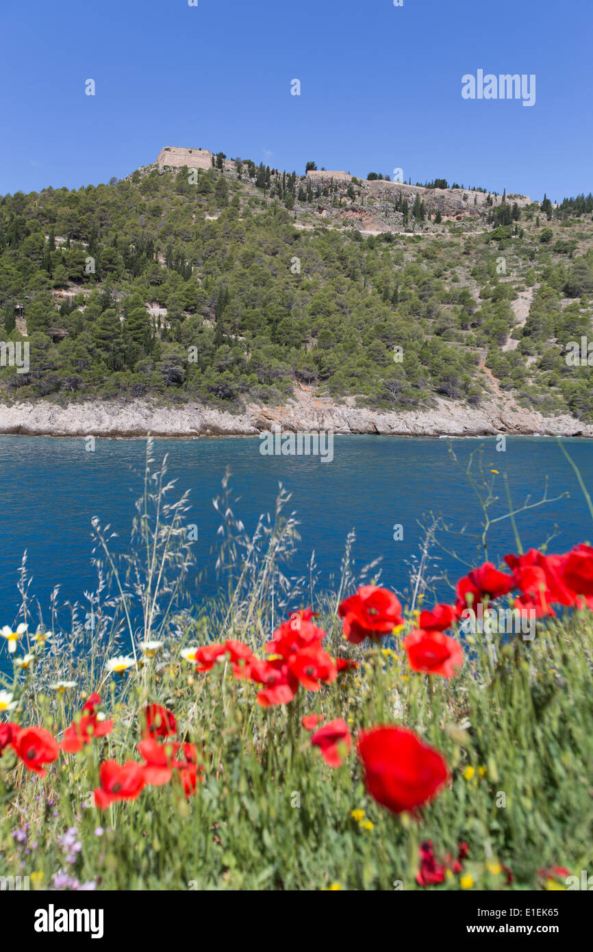 Villaggio di Assos, Cefalonia. Vista pittoresca di Assos Castello con fiori selvatici in primo piano. Foto Stock