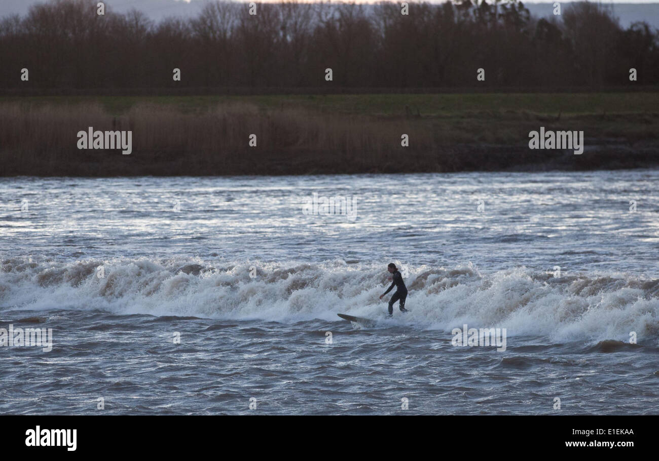 Surfisti cavalcare il Severn onda alesaggio come passa Scandicci ha nel Gloucestershire. Il 1 febbraio 2014. Foto Stock