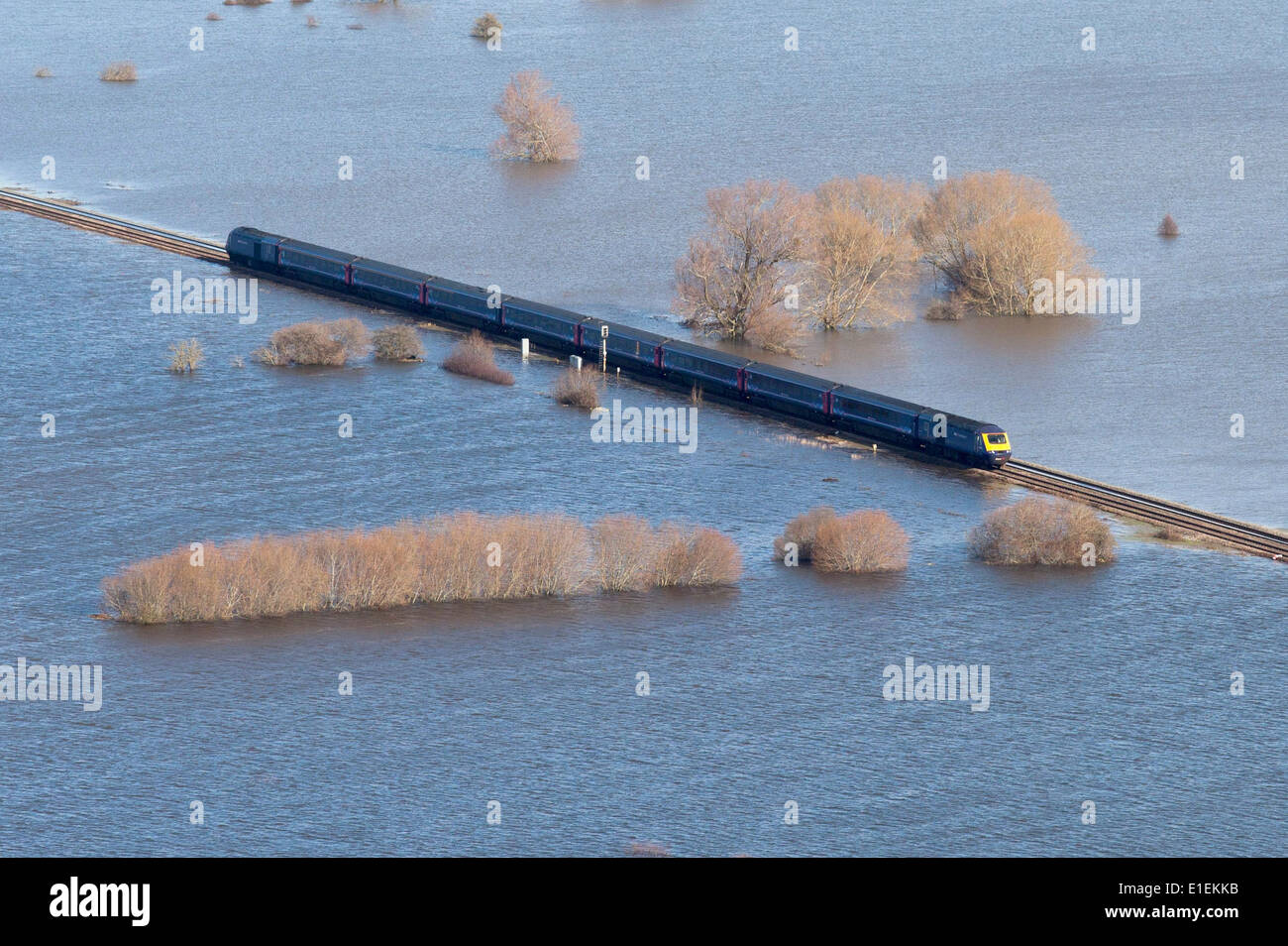 Un primo grande treno occidentale rende il modo attraverso inondazione sui livelli di Somerset Foto Stock