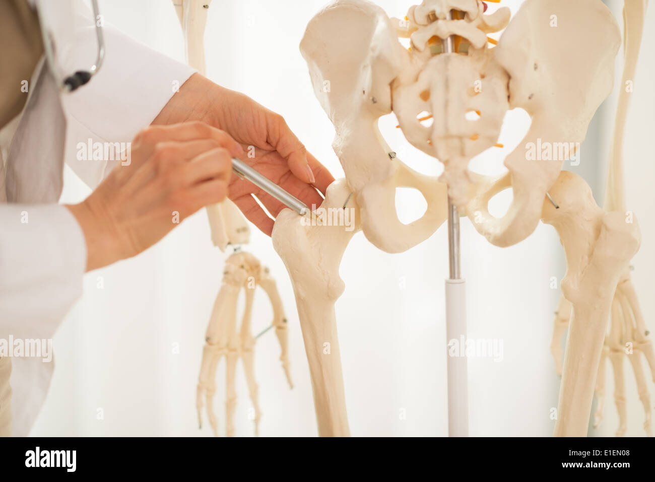 Primo piano sul medico donna puntando sul femore di scheletro umano modello anatomico Foto Stock