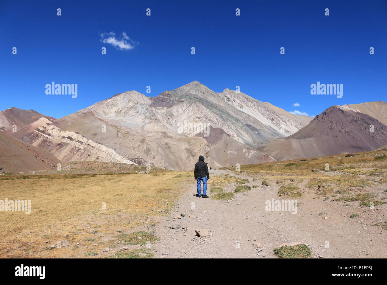 Uomo in montagna - Aconcagua Foto Stock