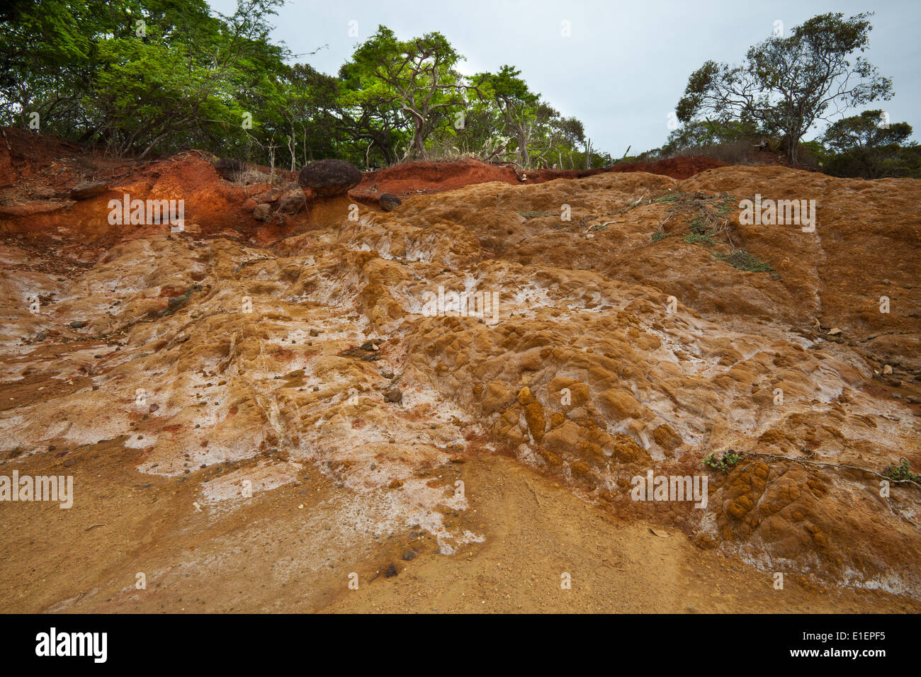 Erosione del suolo e la roccia vulcanica in Sarigua national park (deserto) nella provincia di Herrera, Repubblica di Panama. Foto Stock