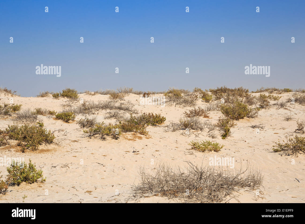 Deserto Arabico Foto Stock