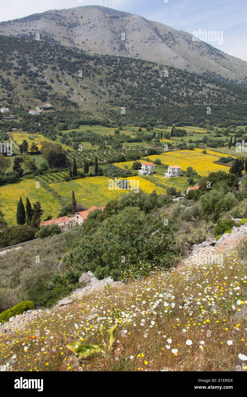 Villaggio di Agia Efimia, Cefalonia. Pittoresca vista in elevazione dei seminativi e fattorie nella periferia di Agia Efimia. Foto Stock