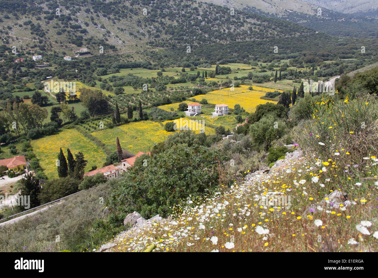 Villaggio di Agia Efimia, Cefalonia. Pittoresca vista in elevazione dei seminativi e fattorie nella periferia di Agia Efimia. Foto Stock