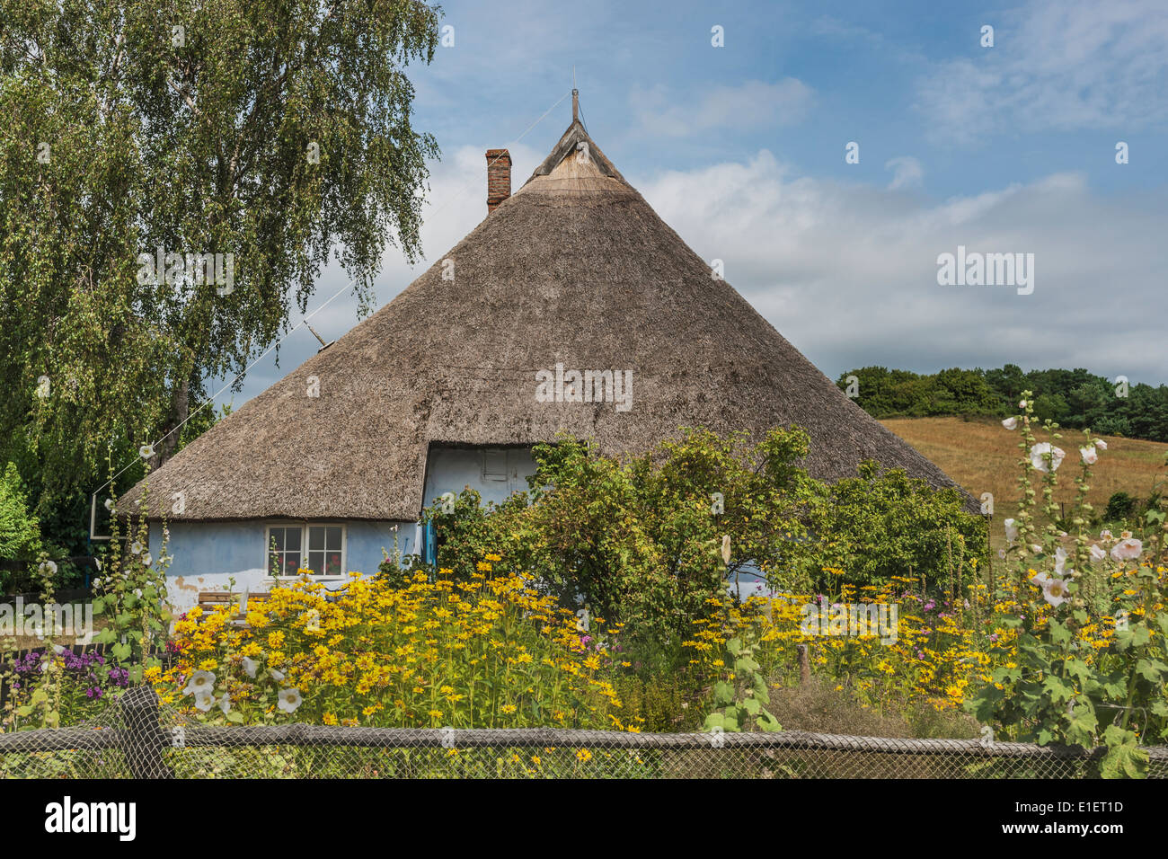 Pfarrwitwenhaus Zicker lordo, Ruegen Isola, County Vorpommern-Ruegen, Meclemburgo-Pomerania Occidentale, Germania, Europa Foto Stock