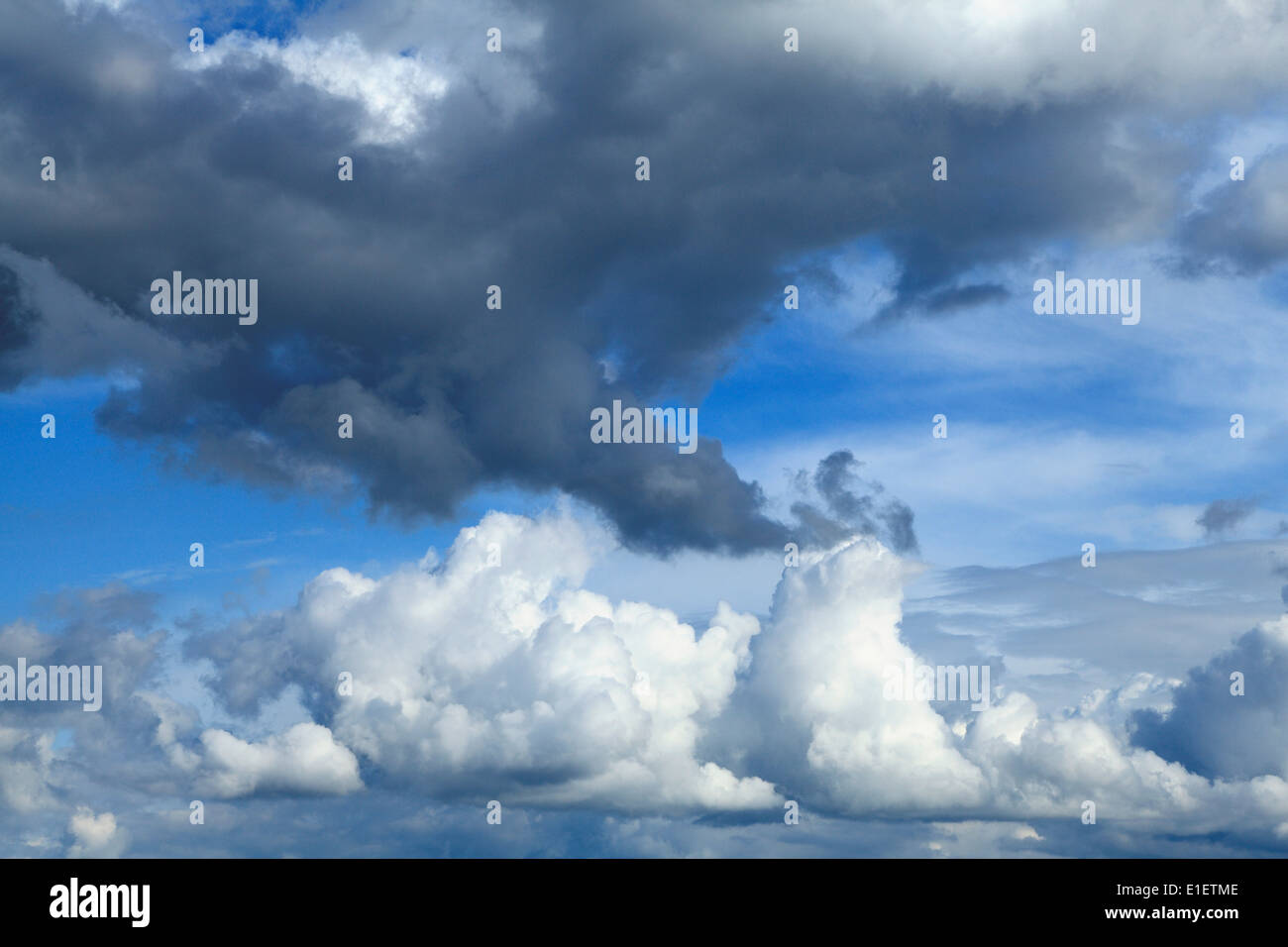 Il Cumulus bianche nuvole e nuvole grigio, blu cielo cielo cloud UK Foto Stock