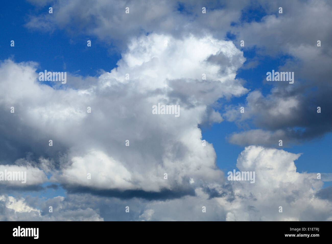 Il Cumulus bianche nuvole e nuvole grigio, blu cielo cielo cloud UK Foto Stock