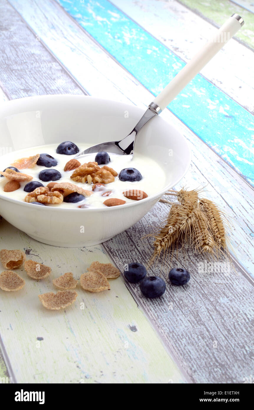 Di yogurt fresco con i cereali e i mirtilli in una ciotola Foto Stock Di yogurt fresco con i cereali e i mirtilli in una ciotola Foto Stock