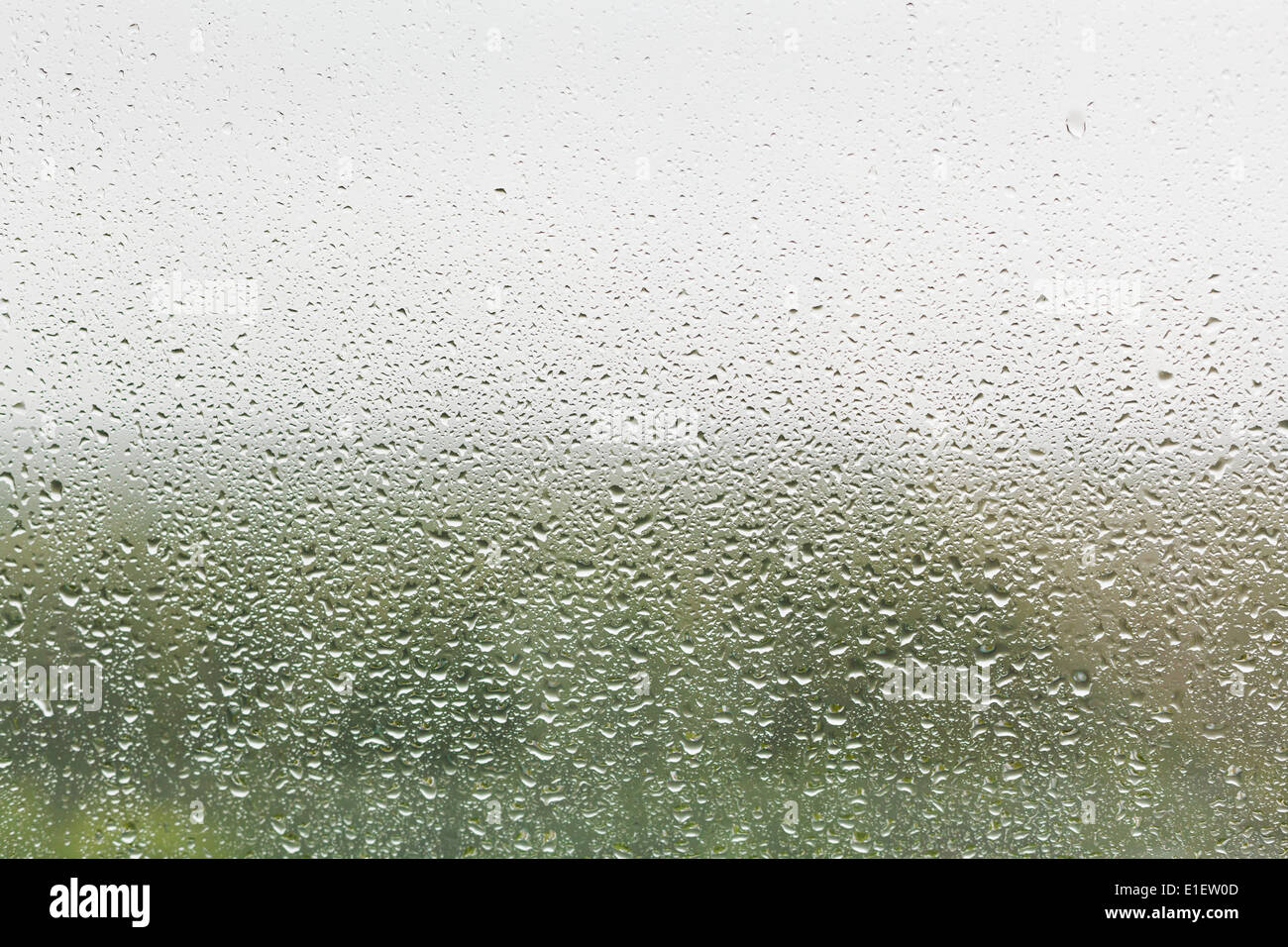 Gocce di pioggia sulla finestra di casa di vetro con una foresta verde e grigio sullo sfondo del cielo Foto Stock