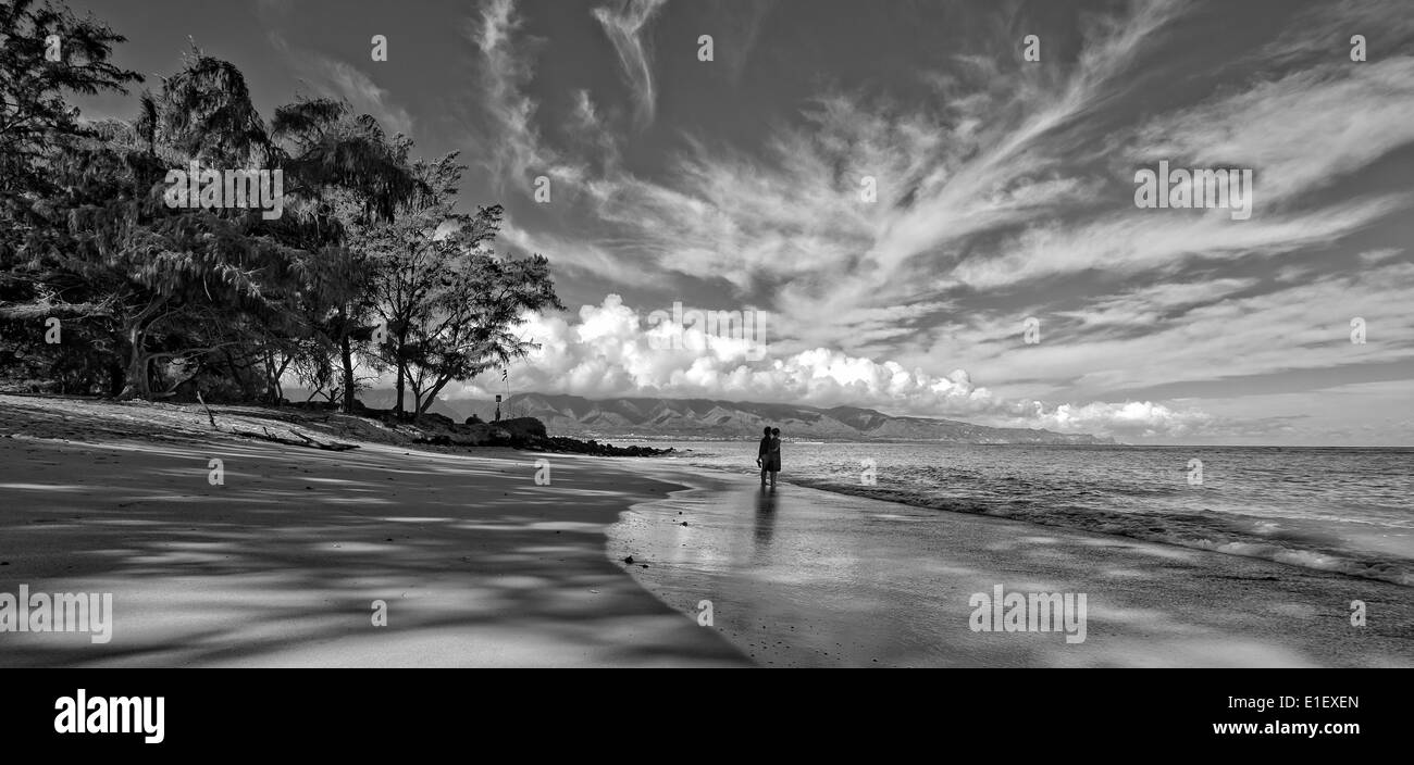 Kanaha Beach anche sapere come Kite Beach per la grande wind surf condizioni è il gioiello della North Shore. Foto Stock