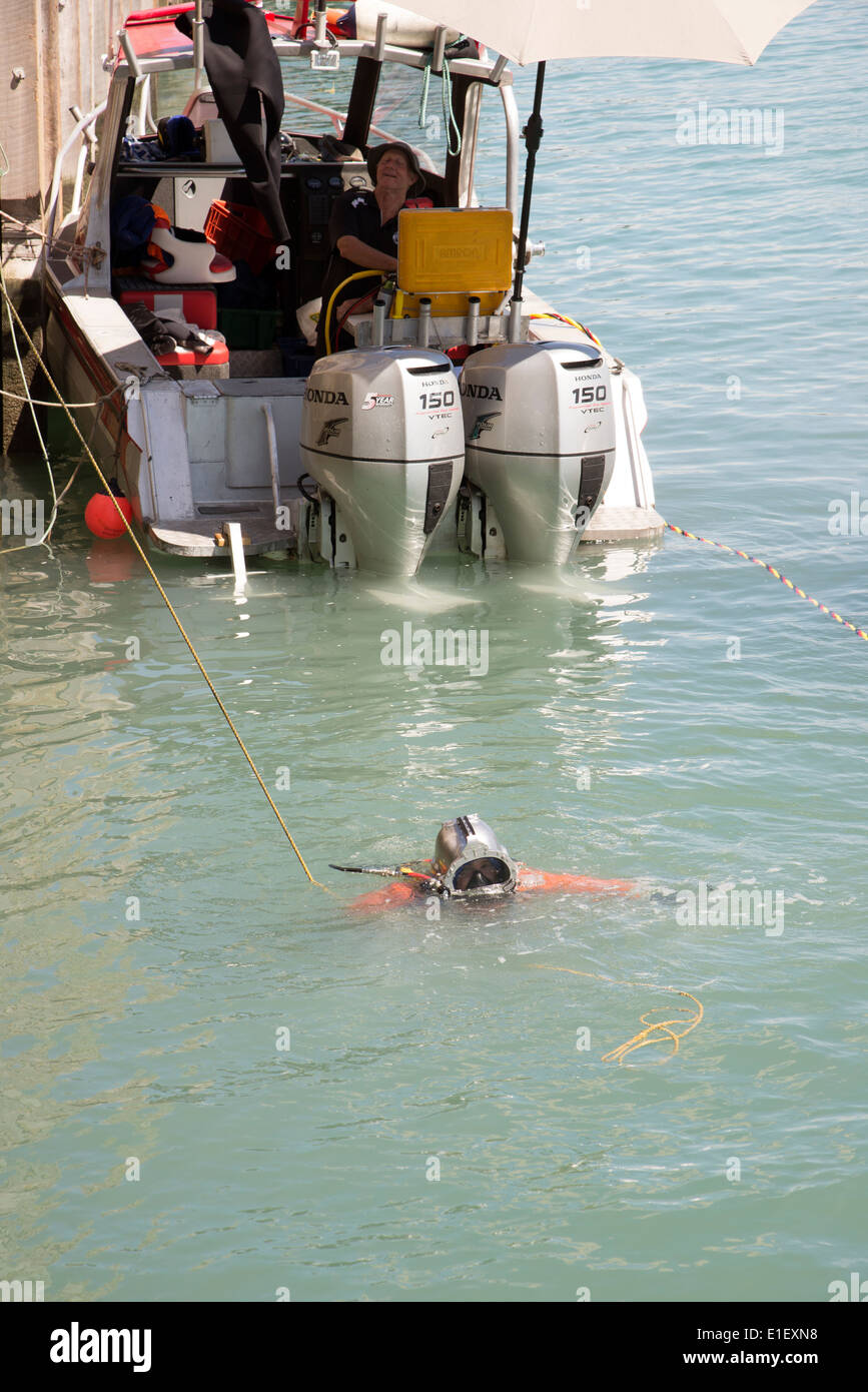 Subacqueo sulla superficie con la superficie in dotazione apparecchio di respirazione barca di controllo Napier, Nuova Zelanda Foto Stock