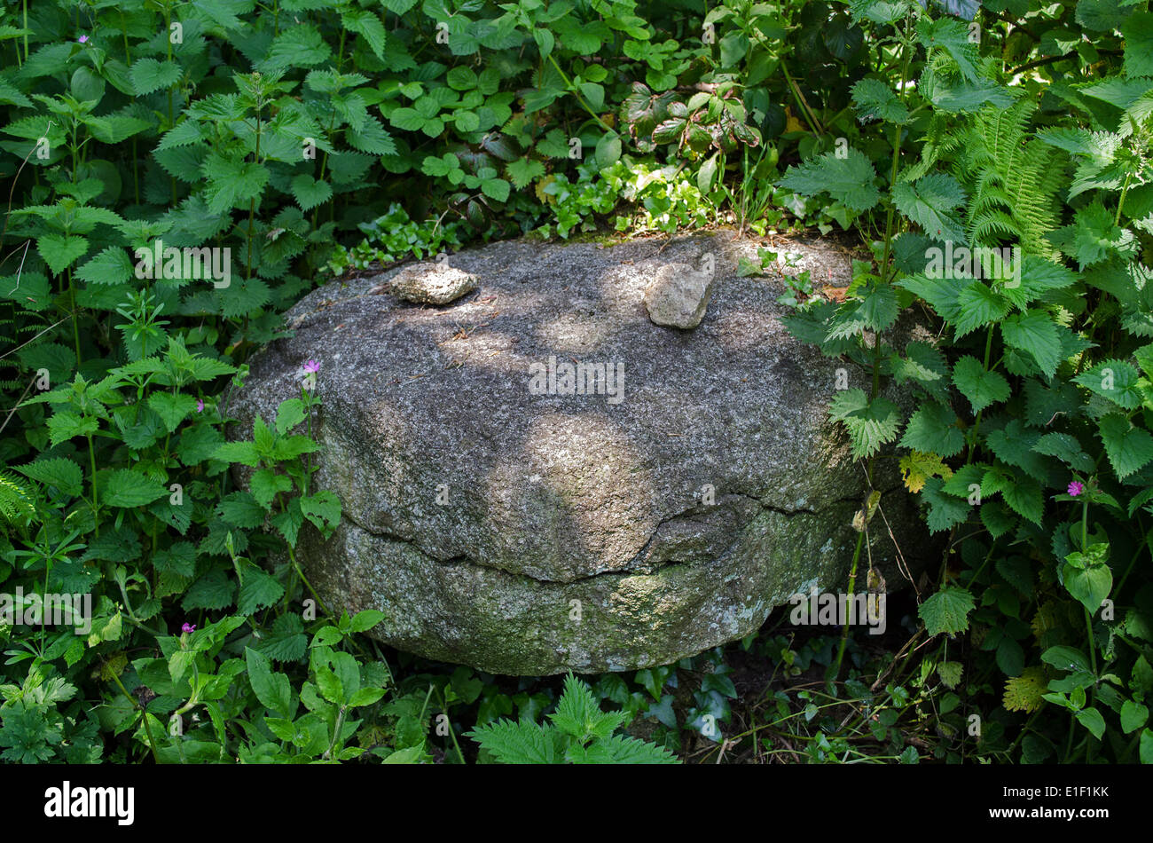 Una roccia di granito che assomiglia a una testa di serpenti Foto Stock