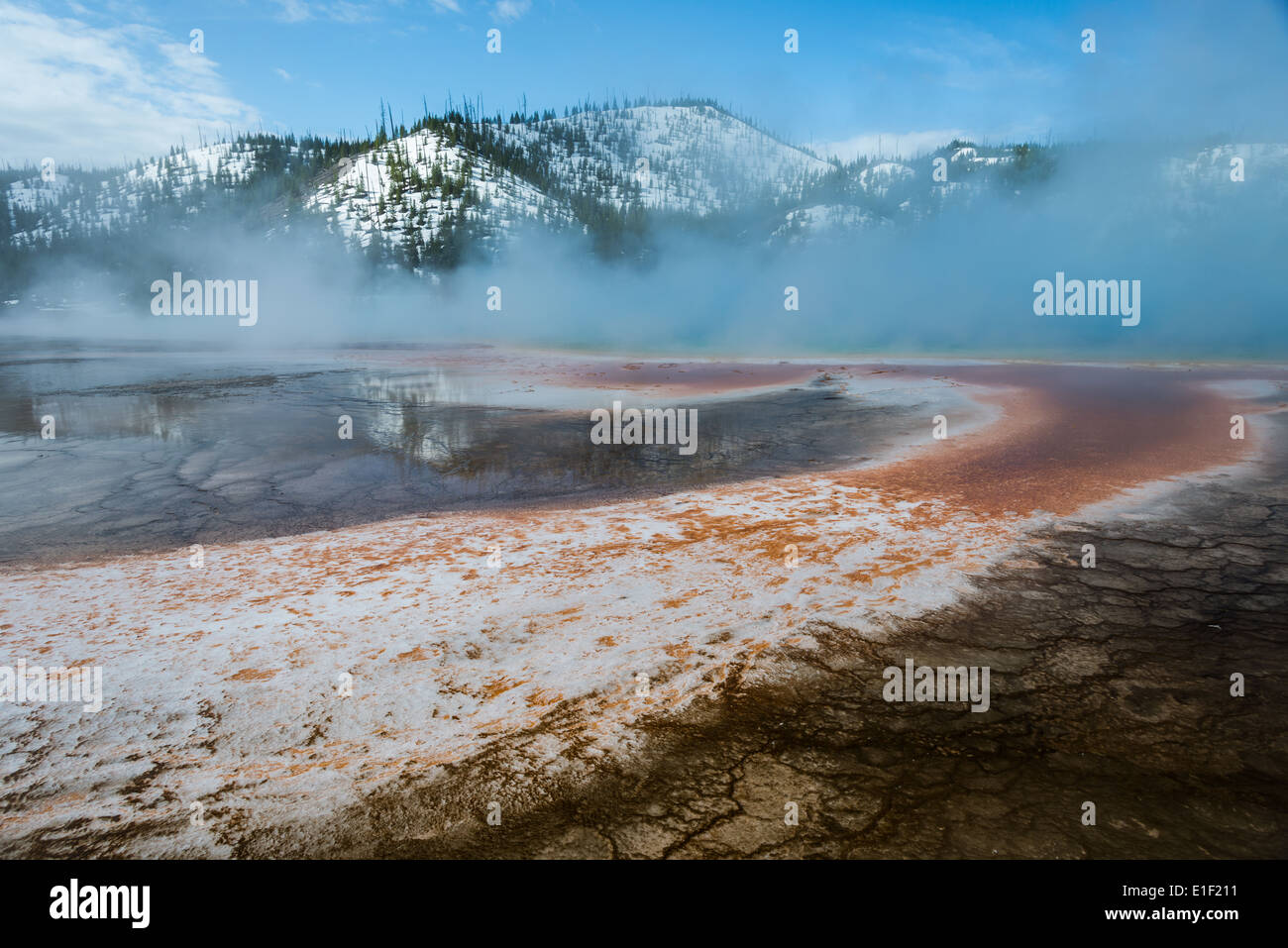 Colorato batteri crescono in overflow da primavera calda. Parco Nazionale di Yellowstone, Wyoming negli Stati Uniti. Foto Stock