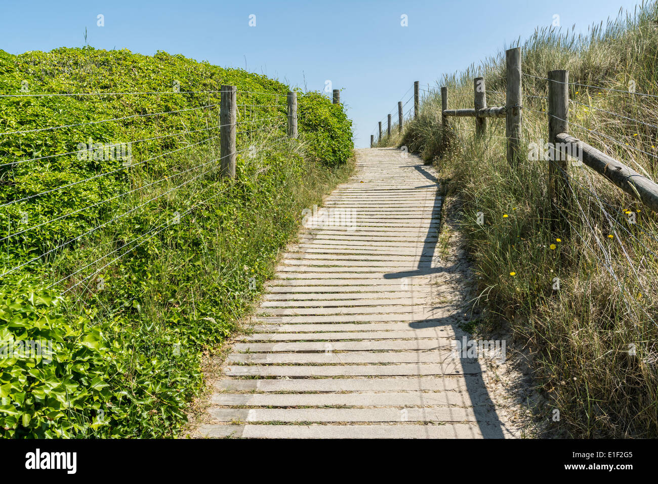 Una passerella / sentiero attraverso le dune di sabbia al di sopra di West Beach, Littlehampton, West Sussex. Foto Stock