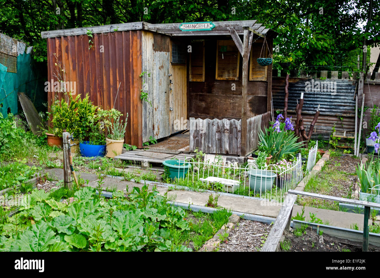Inizio estate in assegnazioni in Warriston in Edinbugh, Scotland, Regno Unito. Foto Stock
